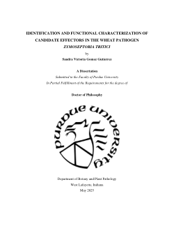 <b>Identification and Functional Characterization of Candidate Effectors in the Wheat Pathogen </b><b><i>Zymoseptoria tritici</i></b>