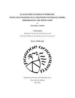<b>Scaling Deep learning in forestry: Innovative training data strategies to enhance model performance and application</b>