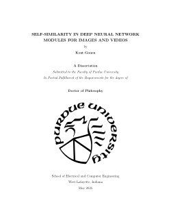 SELF-SIMILARITY IN DEEP NEURAL NETWORK MODULES FOR IMAGES AND VIDEOS