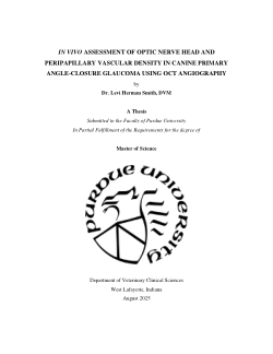 <i>In Vivo </i>Assessment of Optic Nerve Head and Peripapillary Vascular Density in Canine Primary Angle-Closure Glaucoma Using OCT Angiography