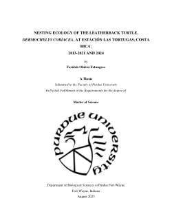 <b>NESTING ECOLOGY OF THE LEATHERBACK TURTLE, </b><b><i>DERMOCHELYS CORIACEA</i></b><b>, AT ESTACIÓN LAS TORTUGAS, COSTA RICA: 2013-2021 AND 2024</b>