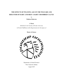 The Effects of Weaning Age on the Welfare and Behavior of Dairy and Beef x Dairy Crossbred Calves