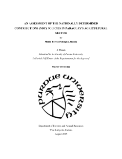 An assessment of the Nationally Determined Contributions (NDC) policies in Paraguay's agricultural sector