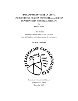 <i>Hablando se entiende la gente: </i>Undocumented Mexican and Central American Experiences in Individual Therapy