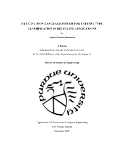 HYBRID VISION-LANGUAGE SYSTEM FOR BATTERY TYPE CLASSIFICATION IN RECYCLING APPLICATIONS
