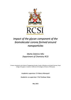 Impact of the Glycan Component of the Biomolecular Corona Formed Around Nanoparticles