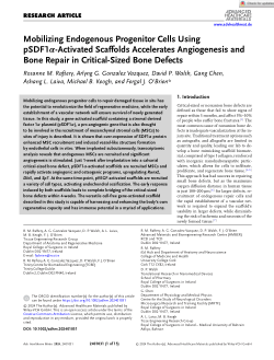 Mobilizing endogenous progenitor cells using pSDF1α-activated scaffolds accelerates angiogenesis and bone repair in critical-sized bone defects