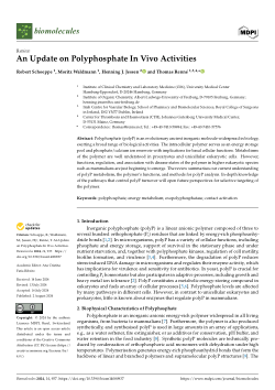 An update on polyphosphate in vivo activities