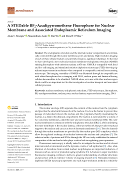 A STEDable BF<sub>2</sub>-azadipyrromethene fluorophore for nuclear membrane and associated endoplasmic reticulum imaging