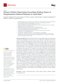 Dietary choline deprivation exacerbates kidney injury in streptozotocin-induced diabetes in adult rats