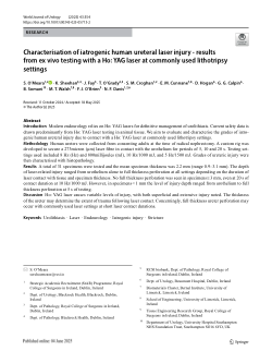 Characterisation of iatrogenic human ureteral laser injury - results from ex vivo testing with a Ho: YAG laser at commonly used lithotripsy settings