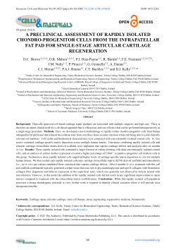 A preclinical assessment of rapidly isolated chondro-progenitor cells from the infrapatellar fat pad for single-stage articular cartilage regeneration