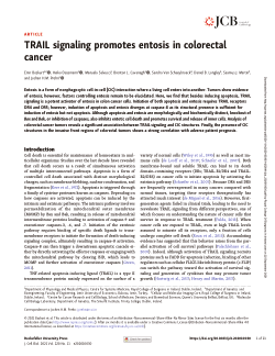 TRAIL signaling promotes entosis in colorectal cancer