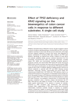 Effect of <i>TP53 </i>deficiency and<i> KRAS </i>signaling on the bioenergetics of colon cancer cells in response to different substrates: a single cell study