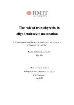 The role of transthyretin in oligodendrocyte maturation