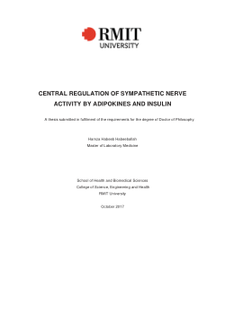 Central regulation of sympathetic nerve activity by adipokines and insulin