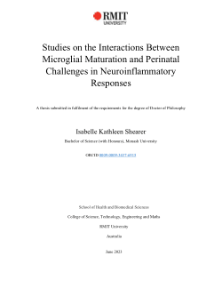 Studies on the interactions between microglial maturation and perinatal challenges in neuroinflammatory responses