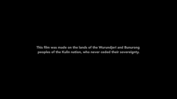 Do nothing and do it well: making radical activist historical documentaries
