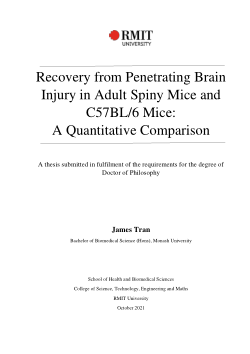 Recovery from penetrating brain injury in adult spiny mice and C57BL/6 mice:  a quantitative comparison