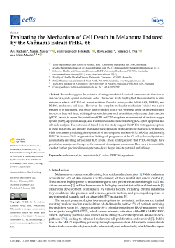 Evaluating the Mechanism of Cell Death in Melanoma Induced by the Cannabis Extract PHEC-66