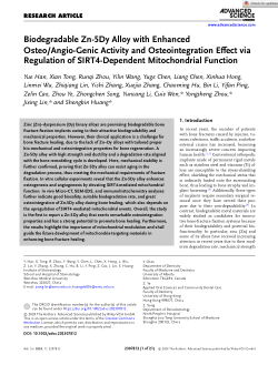 Biodegradable Zn-5Dy Alloy with Enhanced Osteo/Angio-Genic Activity and Osteointegration Effect via Regulation of SIRT4-Dependent Mitochondrial Function