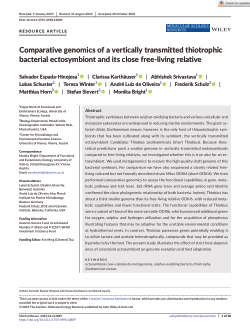 Comparative genomics of a vertically transmitted thiotrophic bacterial ectosymbiont and its close free‐living relative