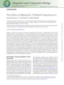 The Evolution of Offspring Size: A Metabolic Scaling Perspective