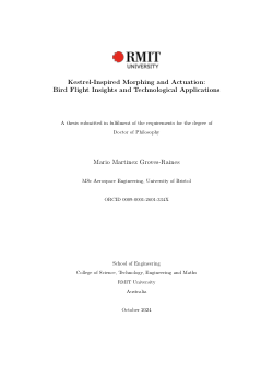 Kestrel-Inspired Morphing and Actuation: Bird Flight Insights and Technological Applications