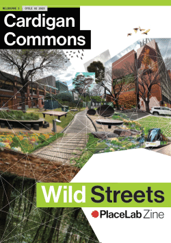 Cardigan Commons: Wild Streets Zine