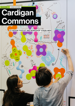 Cardigan Commons: Co-Design Toolkit and Workshop Guidelines