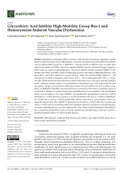 Glycyrrhizic Acid Inhibits High-Mobility Group Box-1 and Homocysteine-Induced Vascular Dysfunction
