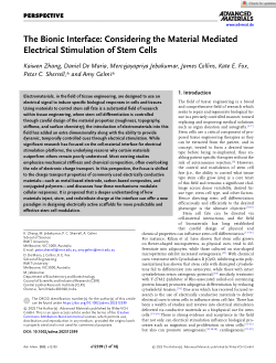 The Bionic Interface: Considering the Material Mediated Electrical Stimulation of Stem Cells.