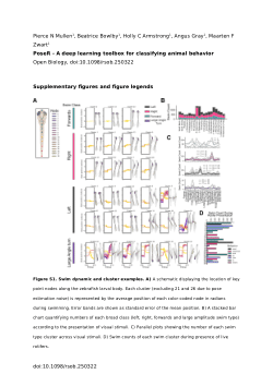 Figure S1. Swim dynamic and cluster examples from PoseR - A deep learning toolbox for classifying animal behavior