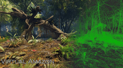Virtual Amazon Rainforest -Video Trailer