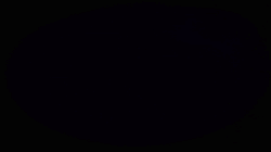 Songs of The City - Urban Sketching and bird song in animation