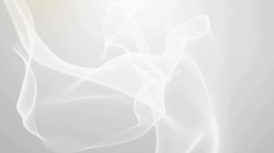 Five Co-created Principles for an Internationalised Curriculum