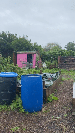 Video 1. Video of rain taken from the doorway of the poly tunnel by author