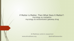 If Matter is Matter, Then What Does it Matter?: Mycology as Metaphor, Mycology as Existentialist Gateway Drug - Keynote Slides