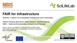FAIR for Infrastructure (Activity 1): report on completed milestones and outcomes