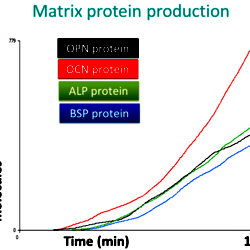 Heterogeneity in The  Mechanical Properties of Integrins: Mech-ABM figures
