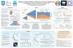 NeurIPS 2019 poster: Nonlinear scaling of resource allocation in sensory bottlenecks