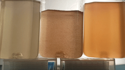 Particle Settling Video