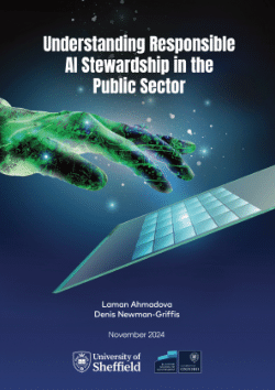 Understanding Responsible AI Stewardship in the Public Sector