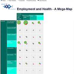 Employment and Health Evidence & Gap Map