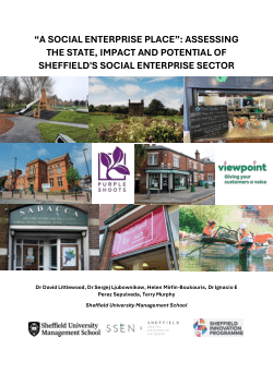 “A social enterprise place": Assessing the state, impact and potential of Sheffield's social enterprise sector