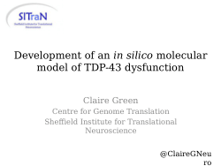 Development of an in silico molecular model of TDP-43 dysfunction