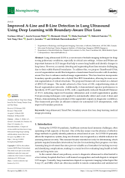 Improved A-Line and B-Line Detection in Lung Ultrasound Using Deep Learning with Boundary-Aware Dice Loss