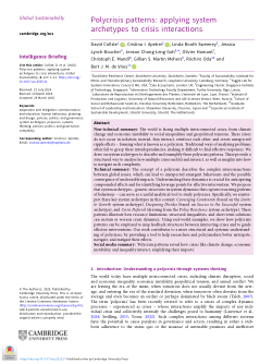 Polycrisis patterns: applying system archetypes to crisis interactions