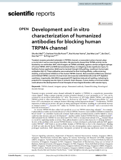 Development and in vitro characterization of humanized antibodies for blocking human TRPM4 channel