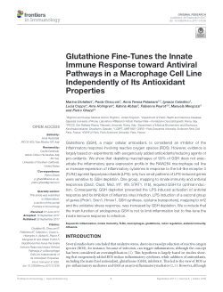 glutathione antiviral Item - Glutathione fine-tunes the innate immune response toward antiviral  pathways in a macrophage cell line independently of its antioxidant  properties - University of Sussex